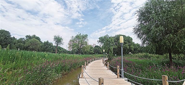 《无极五测速登录地址_兰州市扎实推进黄河流域生态保护和高质量发展 让“母亲河”成为造福市民的“幸福河”》